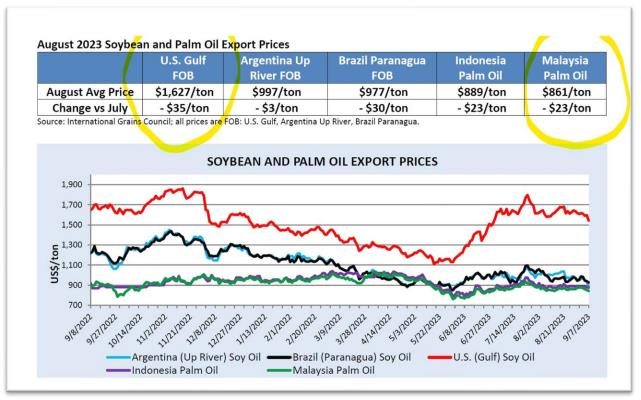 Palm Oil Price: Charts, Forecasts & News - FocusEconomics