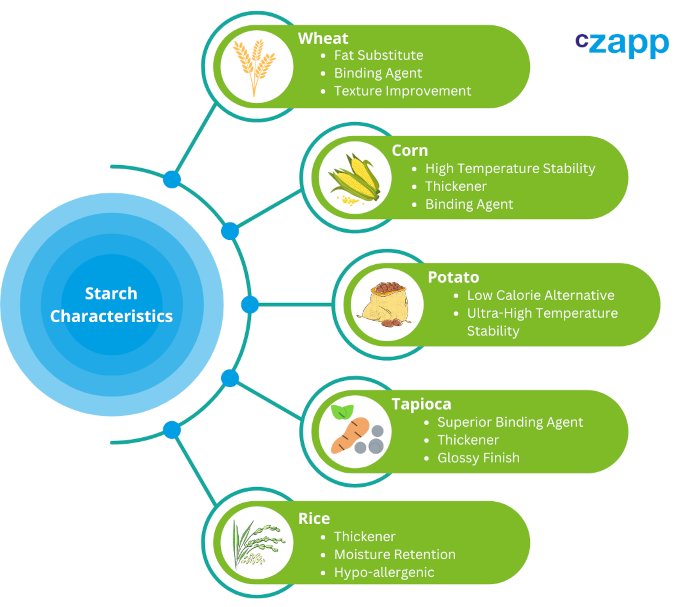 What Do We Know About The Starch Industry Czapp 8921