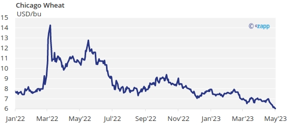 China Cancels American Corn Purchases | Czapp