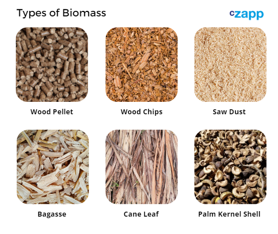 Thailand Emerges as a Biomass Supplier for Asia | Czapp