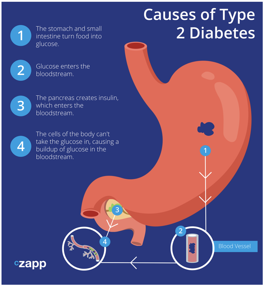 The Link Between Sugar Consumption and Health   CZ app