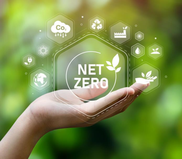 Using Carbon Offsets to get to Net Zero | Czapp