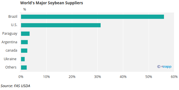 Soybean in Brazil | Czapp