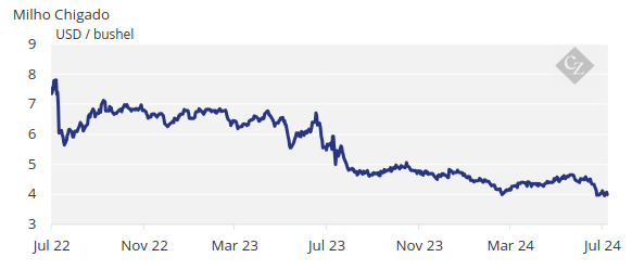 mercados de grãos: milho chigado se recupera 