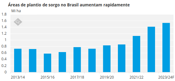 área do plantio de sorgo no brasil aumentam rapidamente safrinha no brasil