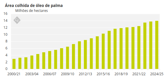 Gráfico representando área colhida de óleo de palma 